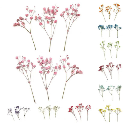 12Pcs Press Flowers Colorful Baby's Breath Flowers Beautiful Colorful Dried Gypsophila Flower for Wedding - Taci Dekor