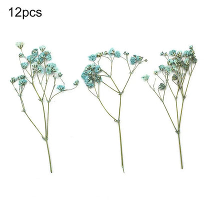 12Pcs Press Flowers Colorful Baby's Breath Flowers Beautiful Colorful Dried Gypsophila Flower for Wedding - Taci Dekor