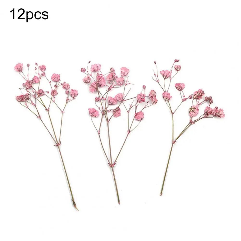 12Pcs Press Flowers Colorful Baby's Breath Flowers Beautiful Colorful Dried Gypsophila Flower for Wedding - Taci Dekor