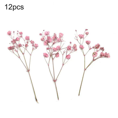 12Pcs Press Flowers Colorful Baby's Breath Flowers Beautiful Colorful Dried Gypsophila Flower for Wedding - Taci Dekor