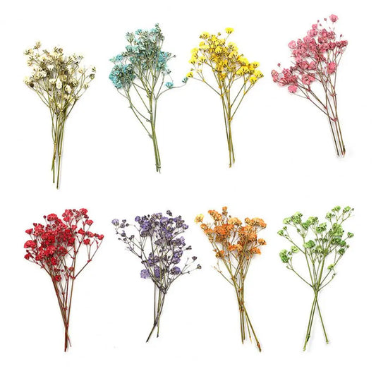 12Pcs Press Flowers Colorful Baby's Breath Flowers Beautiful Colorful Dried Gypsophila Flower for Wedding
