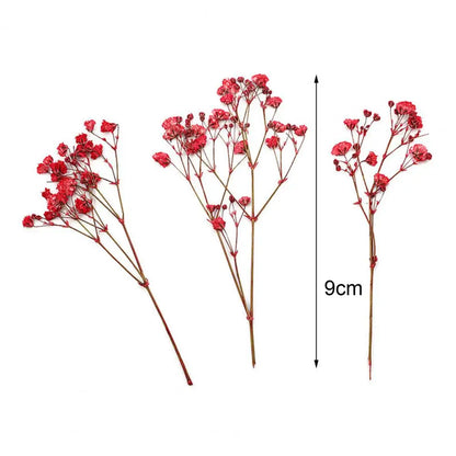 12Pcs Press Flowers Colorful Baby's Breath Flowers Beautiful Colorful Dried Gypsophila Flower for Wedding - Taci Dekor