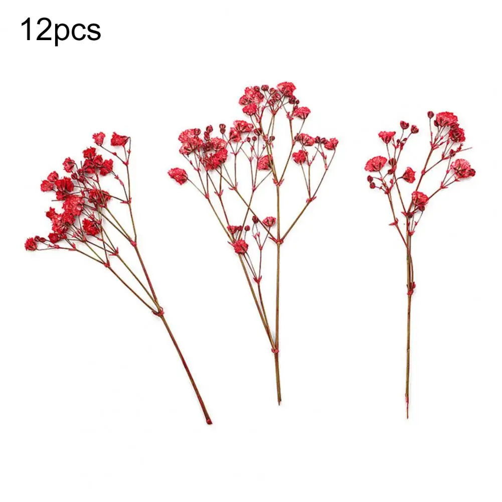 12Pcs Press Flowers Colorful Baby's Breath Flowers Beautiful Colorful Dried Gypsophila Flower for Wedding - Taci Dekor