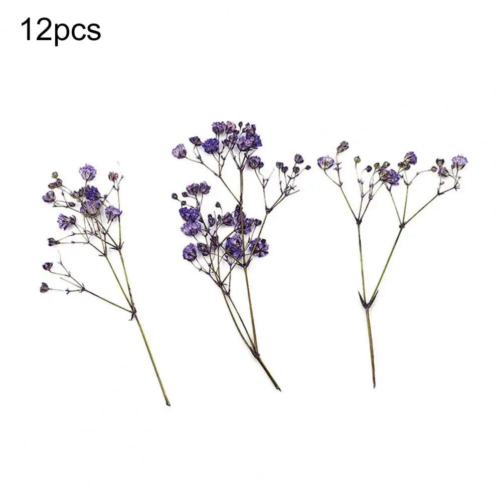 12Pcs Press Flowers Colorful Baby's Breath Flowers Beautiful Colorful Dried Gypsophila Flower for Wedding - Taci Dekor