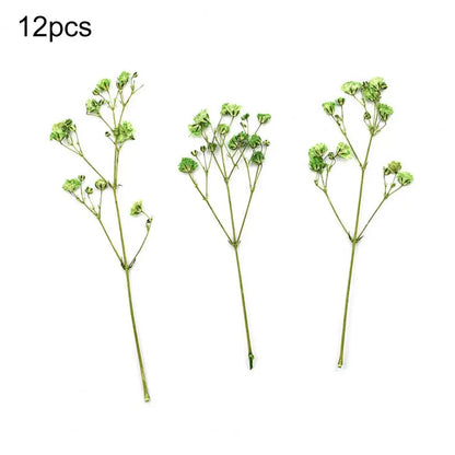 12Pcs Press Flowers Colorful Baby's Breath Flowers Beautiful Colorful Dried Gypsophila Flower for Wedding - Taci Dekor