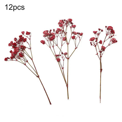 12Pcs Press Flowers Colorful Baby's Breath Flowers Beautiful Colorful Dried Gypsophila Flower for Wedding - Taci Dekor