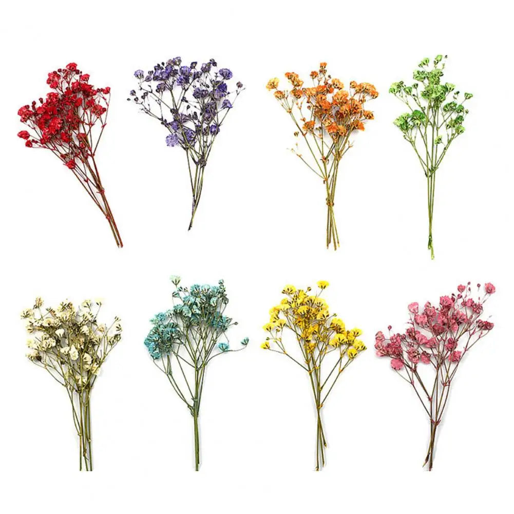 12Pcs Press Flowers Colorful Baby's Breath Flowers Beautiful Colorful Dried Gypsophila Flower for Wedding - Taci Dekor